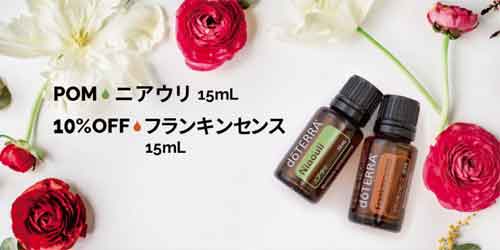 �h�e���@�G�b�Z���V�����I�C��