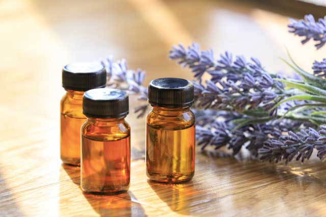 �G�b�Z���V�����I�C��